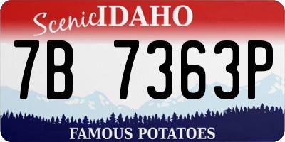 ID license plate 7B7363P