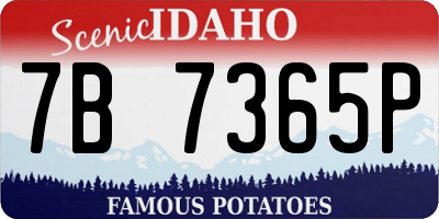 ID license plate 7B7365P