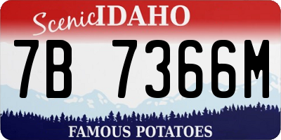 ID license plate 7B7366M