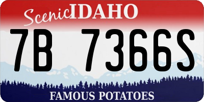ID license plate 7B7366S