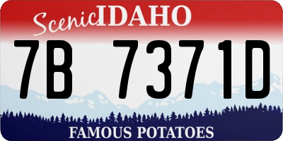 ID license plate 7B7371D