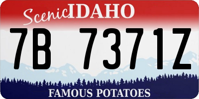 ID license plate 7B7371Z