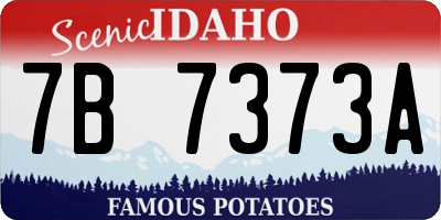 ID license plate 7B7373A