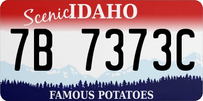 ID license plate 7B7373C