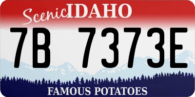 ID license plate 7B7373E