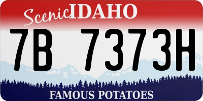ID license plate 7B7373H