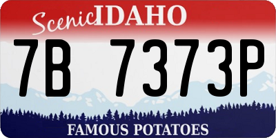 ID license plate 7B7373P