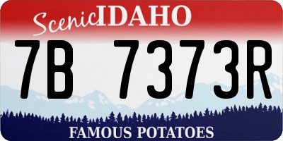 ID license plate 7B7373R