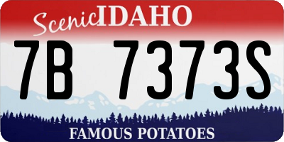 ID license plate 7B7373S