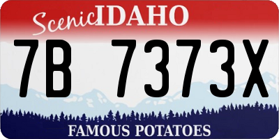 ID license plate 7B7373X