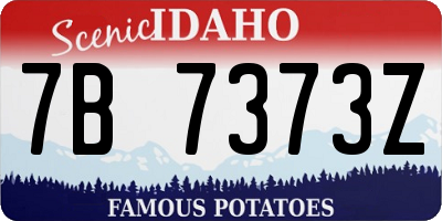 ID license plate 7B7373Z
