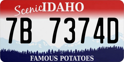 ID license plate 7B7374D