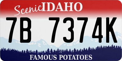 ID license plate 7B7374K