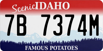 ID license plate 7B7374M