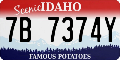 ID license plate 7B7374Y