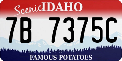 ID license plate 7B7375C