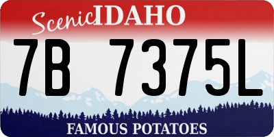 ID license plate 7B7375L