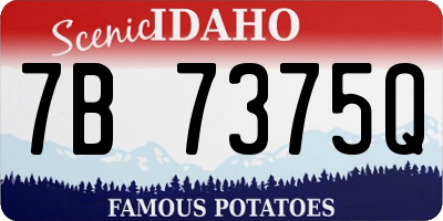 ID license plate 7B7375Q