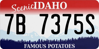 ID license plate 7B7375S