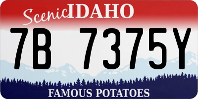 ID license plate 7B7375Y
