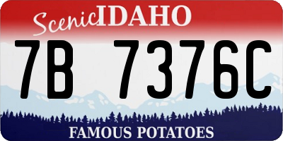 ID license plate 7B7376C