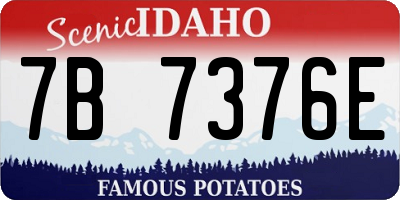 ID license plate 7B7376E