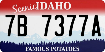 ID license plate 7B7377A