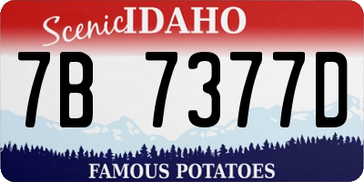ID license plate 7B7377D
