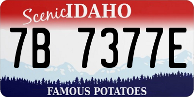 ID license plate 7B7377E