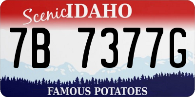 ID license plate 7B7377G