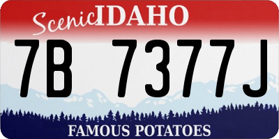 ID license plate 7B7377J