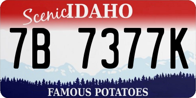 ID license plate 7B7377K