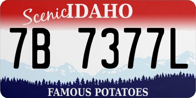 ID license plate 7B7377L