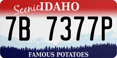 ID license plate 7B7377P