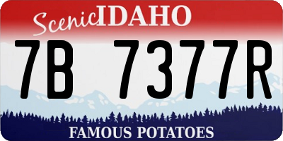 ID license plate 7B7377R
