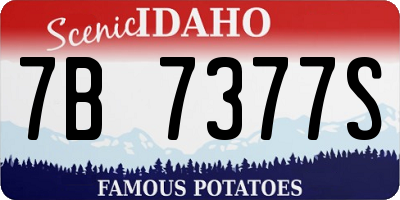 ID license plate 7B7377S