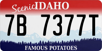 ID license plate 7B7377T