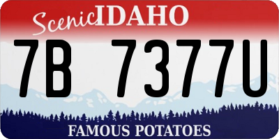 ID license plate 7B7377U