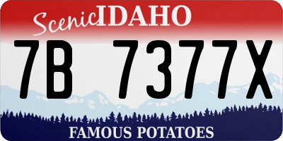 ID license plate 7B7377X