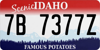 ID license plate 7B7377Z