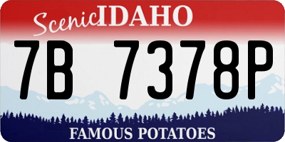 ID license plate 7B7378P