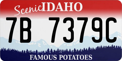 ID license plate 7B7379C