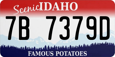 ID license plate 7B7379D