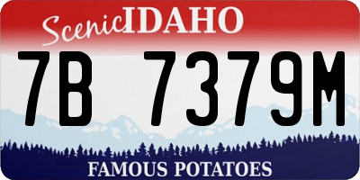 ID license plate 7B7379M