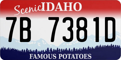 ID license plate 7B7381D