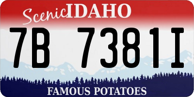 ID license plate 7B7381I