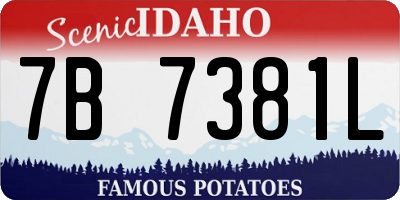 ID license plate 7B7381L