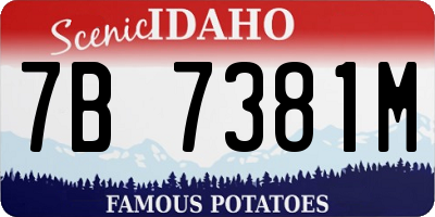 ID license plate 7B7381M