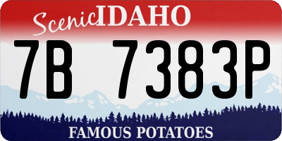 ID license plate 7B7383P