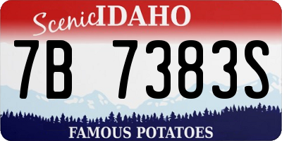 ID license plate 7B7383S